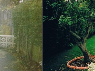 199502 Winnersh Renovation 3 Landscaping Finish Merged